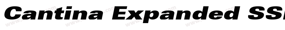 Cantina Expanded SSi Semi Expanded字体转换